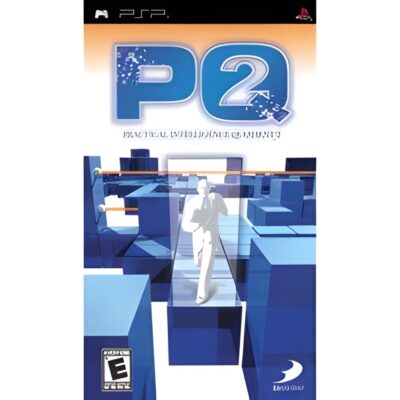 PQ: Practical Intelligence Quotient 2
