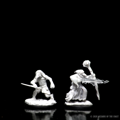 D&D Nolzur's Marvelous Miniatures - Kenku Adventurers - Image 3