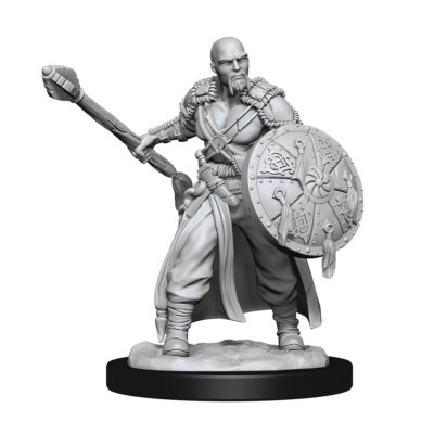 D&D Nolzur's Marvelous Miniatures: Human Barbarian Male (SKU 61369) - Image 5