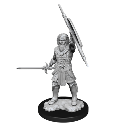 D&D Nolzur's Marvelous Miniatures: Human Fighter Male