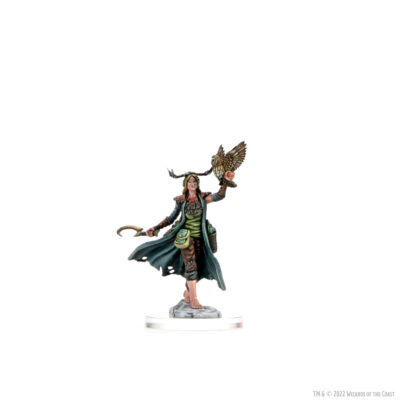 D&D FW W01 HU Druid F Dungeons & Dragons Frameworks: W01 Human Druid Female - Image 6