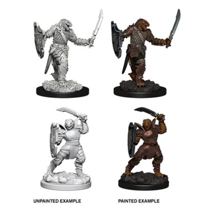 D&D Nolzur's Marvelous Miniatures: Dragonborn Female Paladin - Image 3