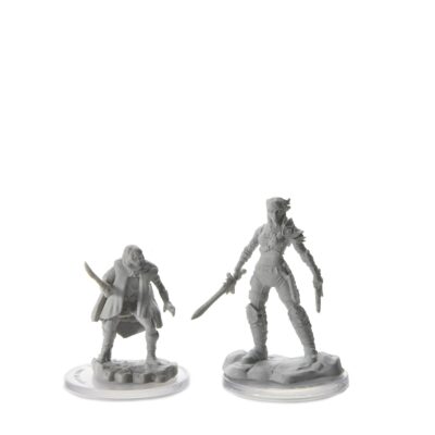 D&D Nolzur's Marvelous Miniatures: Elf Rogue & Half-Elf Rogue Protégé - Image 3