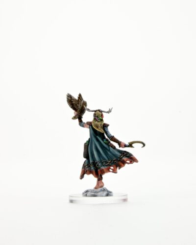 D&D FW W01 HU Druid F Dungeons & Dragons Frameworks: W01 Human Druid Female - Image 7