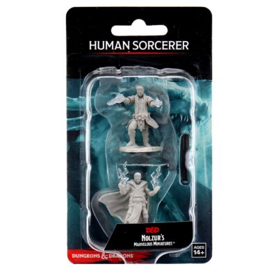 D&D Nolzur's Marvelous Miniatures: Male Human Sorcerer