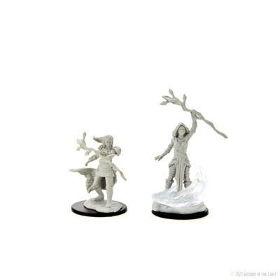 D&D Nolzur's Marvelous Miniatures: Human Druid Female - Image 3