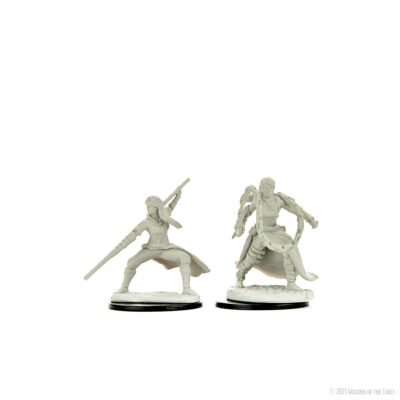D&D Nolzur's Marvelous Miniatures: Human Monk Female - Image 3