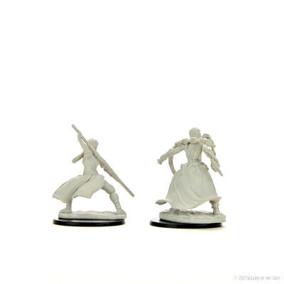 D&D Nolzur's Marvelous Miniatures: Human Monk Female - Image 4