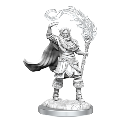 D&D Nolzur's Marvelous Miniatures: Elf Cleric Male
