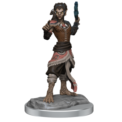 Shifter Fighter Shifter Fighter