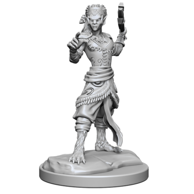 Shifter Fighter