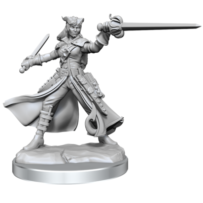 D&D FW W01 TI Rogue F Dungeons & Dragons Frameworks: W01 Tiefling Rogue Female
