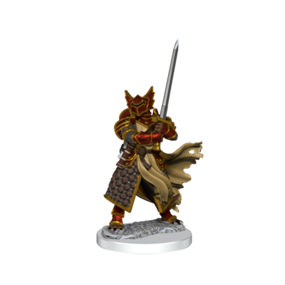 D&D FW W01 DB Paladin M Dungeons & Dragons Frameworks: W01 Dragonborn Paladin Male - Image 5