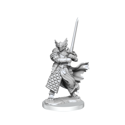 D&D FW W01 DB Paladin M Dungeons & Dragons Frameworks: W01 Dragonborn Paladin Male - Image 4