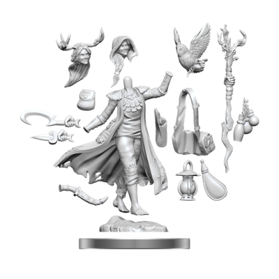 D&D FW W01 HU Druid F Dungeons & Dragons Frameworks: W01 Human Druid Female