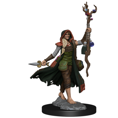 D&D FW W01 HU Druid F Dungeons & Dragons Frameworks: W01 Human Druid Female - Image 3