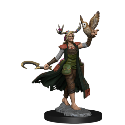 D&D FW W01 HU Druid F Dungeons & Dragons Frameworks: W01 Human Druid Female - Image 5