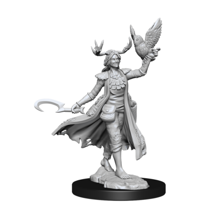 D&D FW W01 HU Druid F Dungeons & Dragons Frameworks: W01 Human Druid Female - Image 4