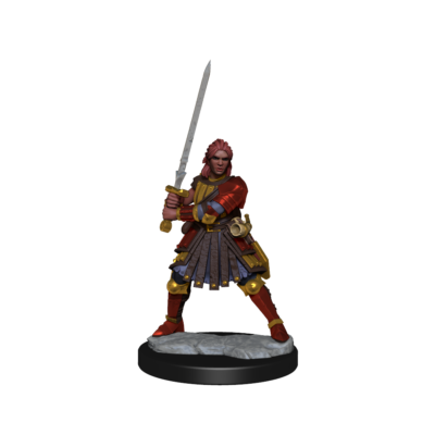 D&D FW W01 HU Fighter F Dungeons & Dragons Frameworks: W01 Human Fighter Female - Image 4