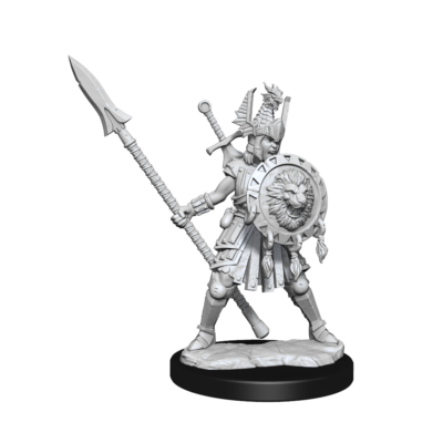 D&D FW W01 HU Fighter F Dungeons & Dragons Frameworks: W01 Human Fighter Female