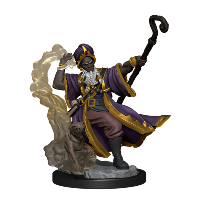D&D FW W01 HU Wizard M Dungeons & Dragons Frameworks: W01 Human Wizard Male - Image 7