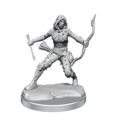 D&D FW W01 HU Rogue F Dungeons & Dragons Frameworks: W01 Human Rogue Female - Image 7