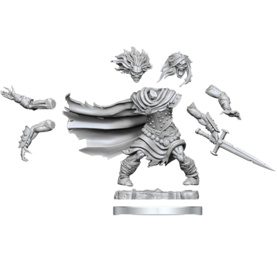 D&D FW W01 Wight Dungeons & Dragons Frameworks: W01 Wight