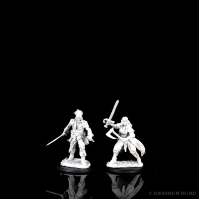 D&D Nolzur's Marvelous Miniatures - Vampire Hunters - Image 3